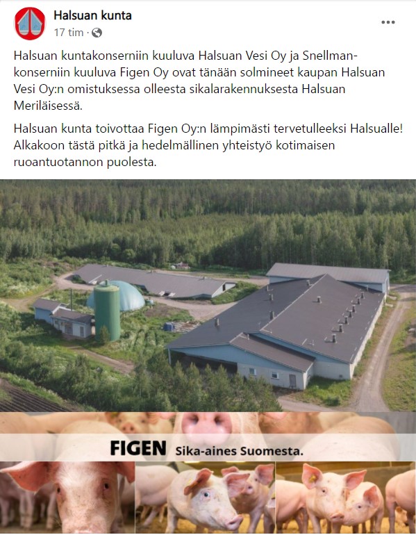 Halsuan emakkosikala