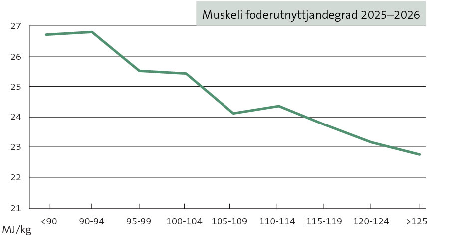 Muskeli foderutnyttjandegrad