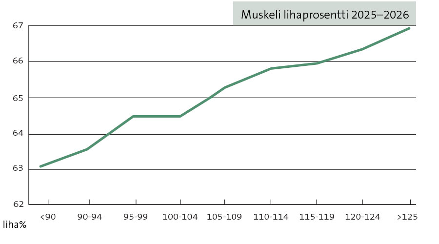 Muskeli lihaprosentti