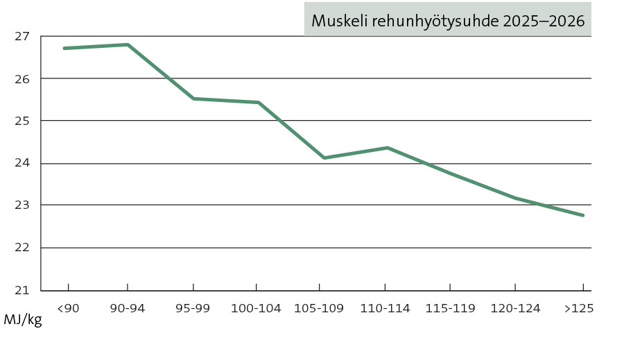Muskeli rehuhyötysuhde
