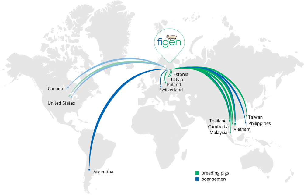 Figen Export Map 2025